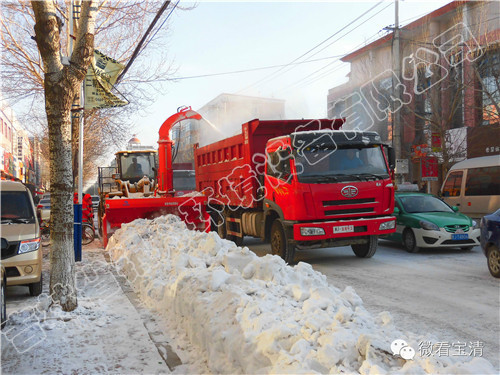 大型拋雪機(jī)